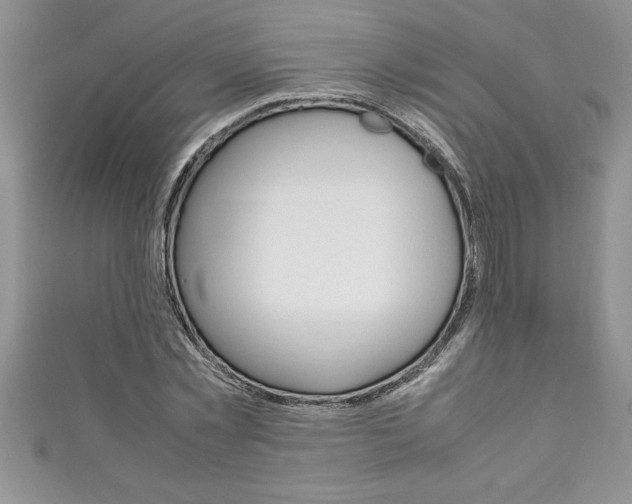 X0000111190781200907011008