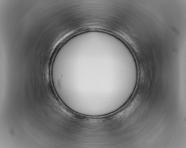 X0000111190782200907011008