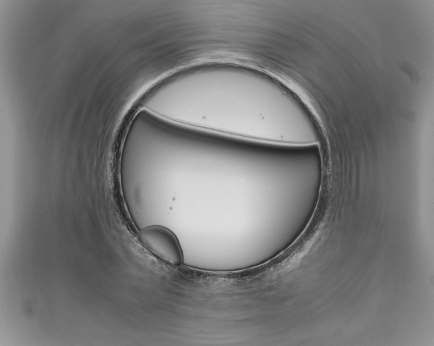 X0000111190783200907011008