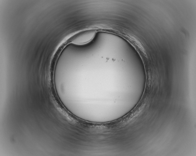 X0000111190784200907011008