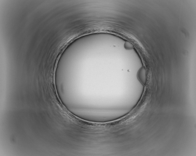 X0000111190785200907011008