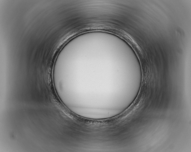 X0000111190786200907011008