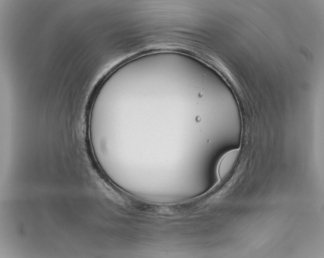 X0000111190787200907011008