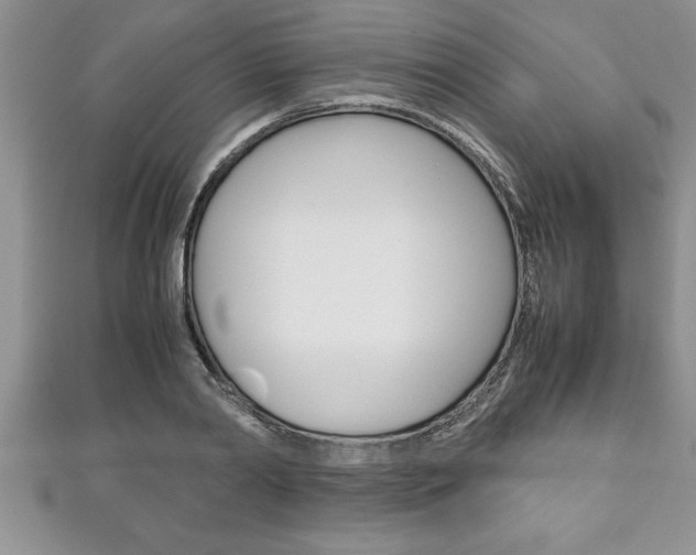 X0000111190790200907011008