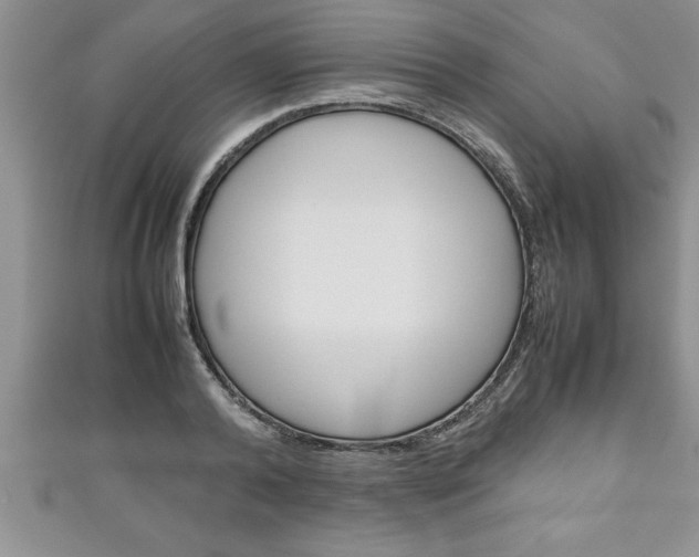X0000111190792200907011008