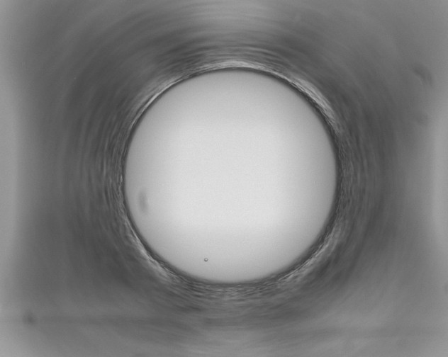 X0000111190793200907011008
