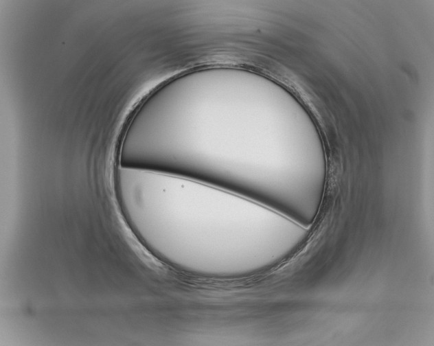 X0000111190795200907011008