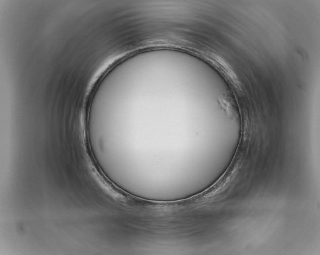 X0000111190796200907011008