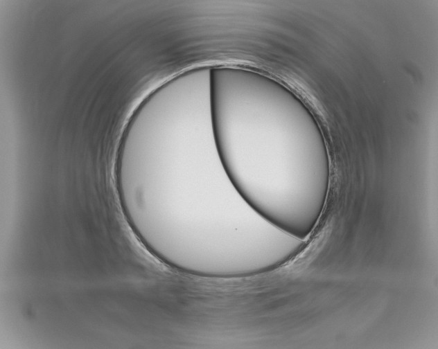 X0000111190797200907011008