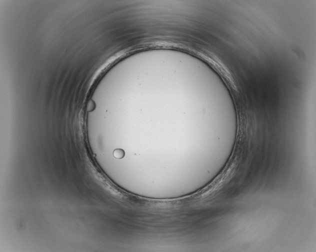 X0000111190798200907011008