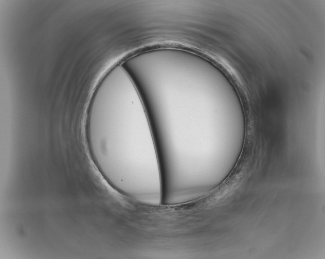 X0000111190799200907011008