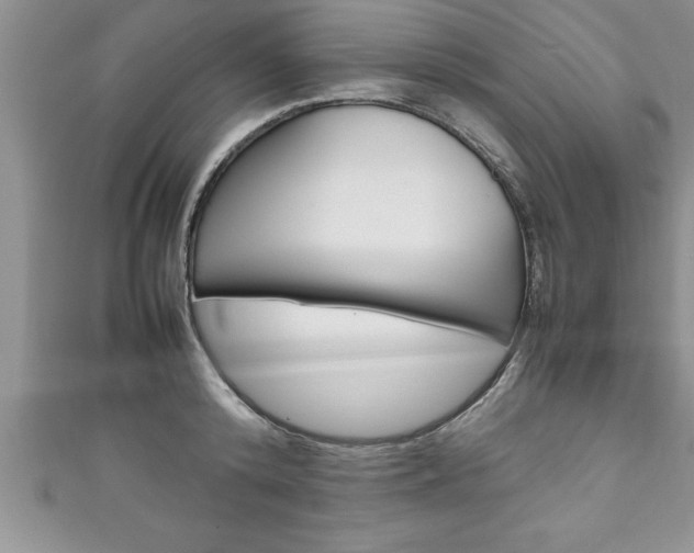 X0000111190800200907011008