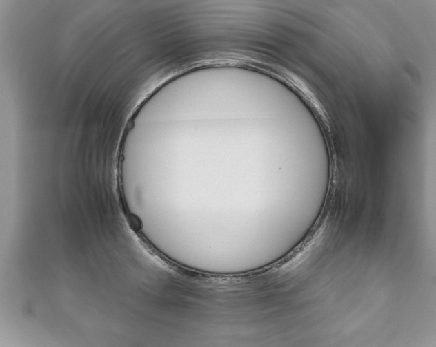 X0000111190802200907011008
