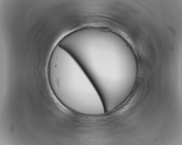 X0000111190803200907011008