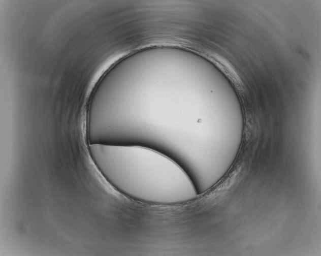 X0000111190804200907011008