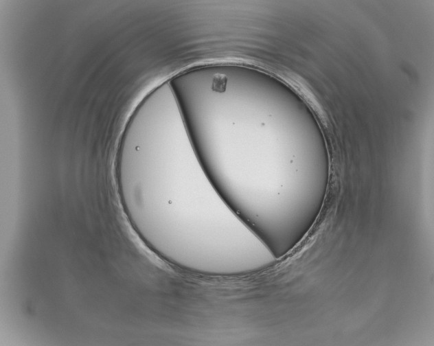 X0000111190805200907011008