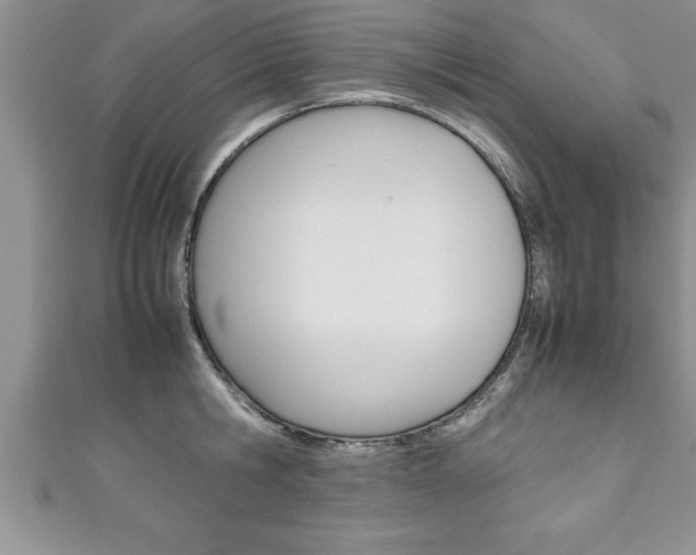 X0000111190806200907011008