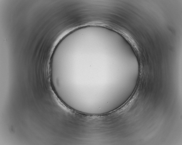 X0000111190808200907011008