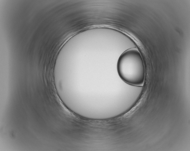X0000111190809200907011008
