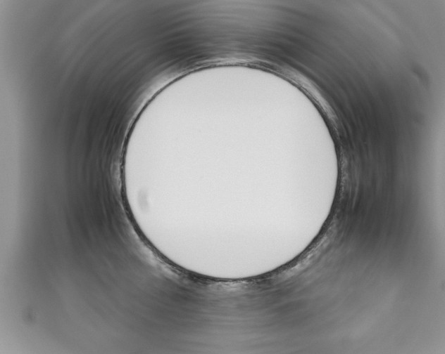 X0000111190810200907011008