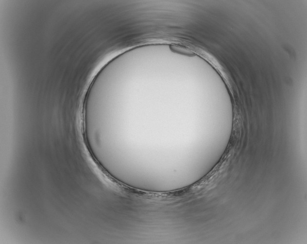 X0000111190811200907011008