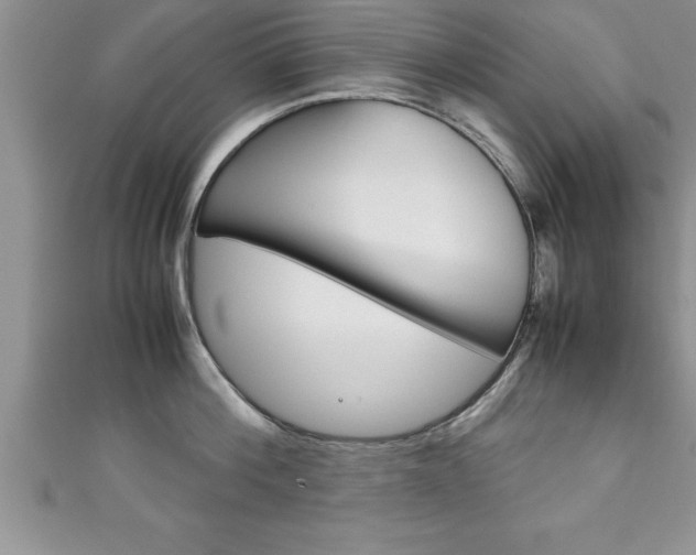 X0000111190812200907011008