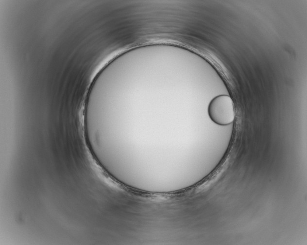 X0000111190814200907011008