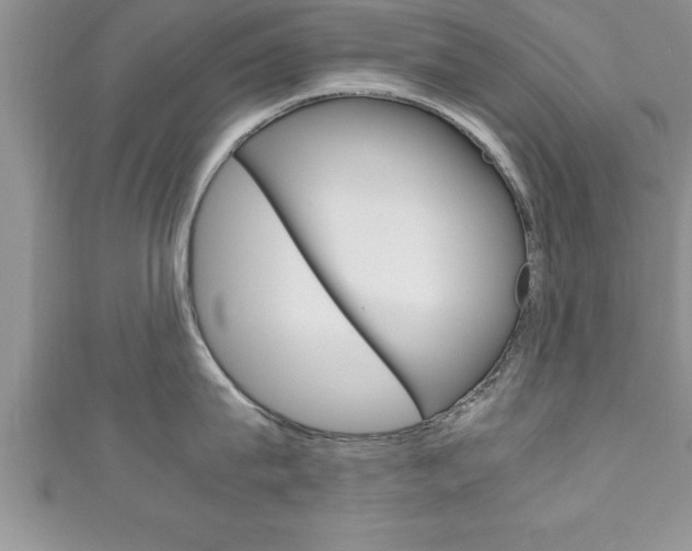 X0000111190815200907011008