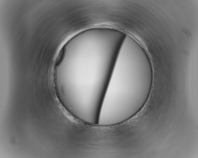 X0000111190816200907011008