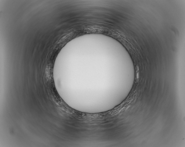 X0000111190819200907011007