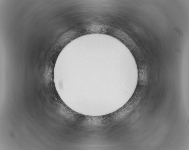 X0000111190820200907011007