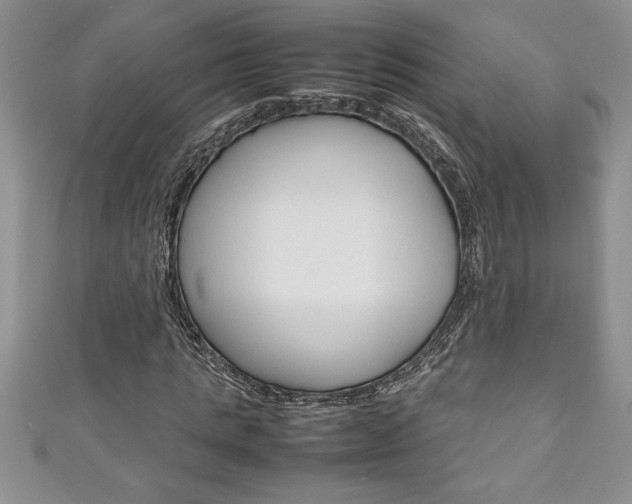 X0000111190821200907011007