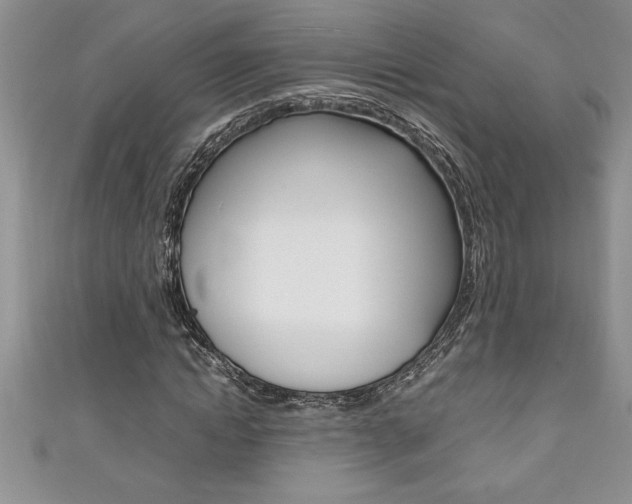 X0000111190822200907011007