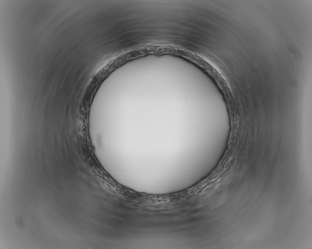 X0000111190823200907011007