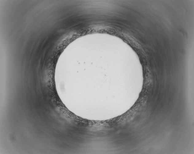 X0000111190824200907011007