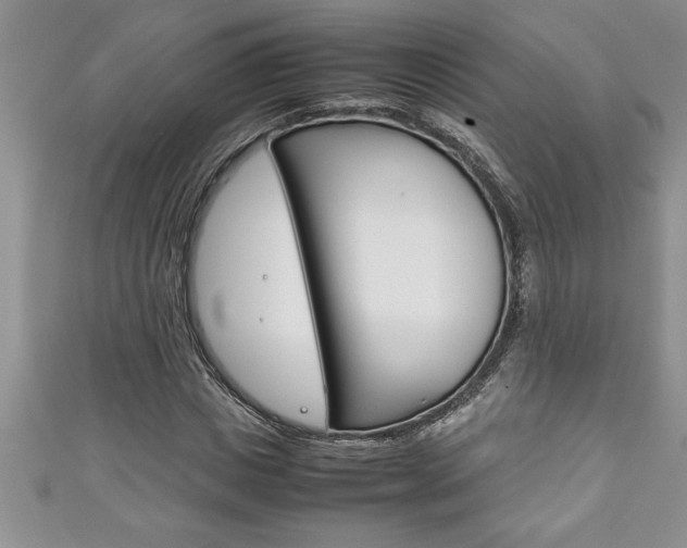 X0000111190825200907011007