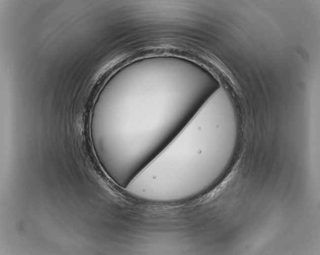 X0000111190826200907011007