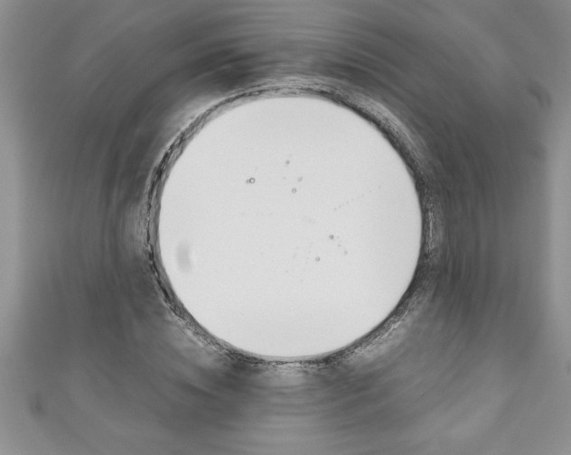 X0000111190828200907011007