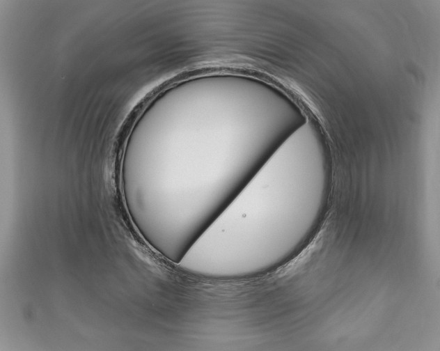 X0000111190830200907011007