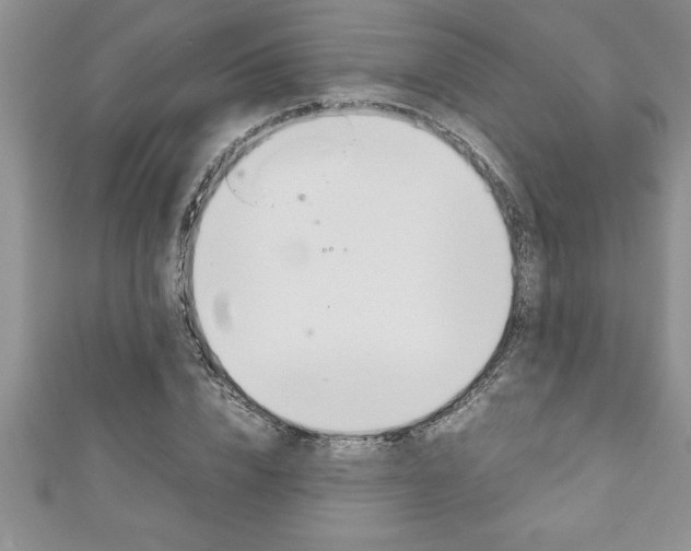 X0000111190832200907011007