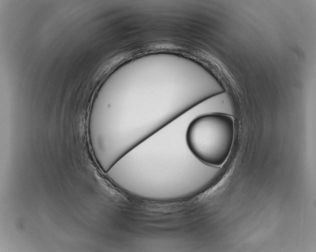 X0000111190833200907011007