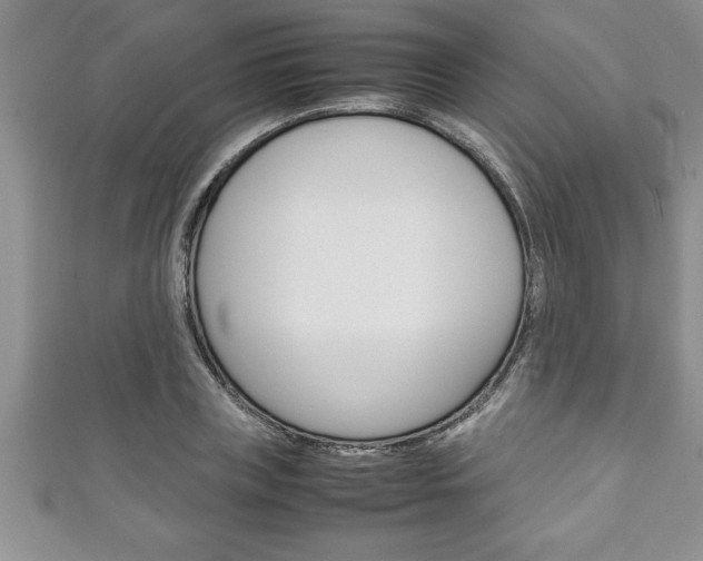 X0000111190835200907011007