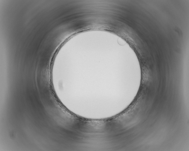 X0000111190836200907011007