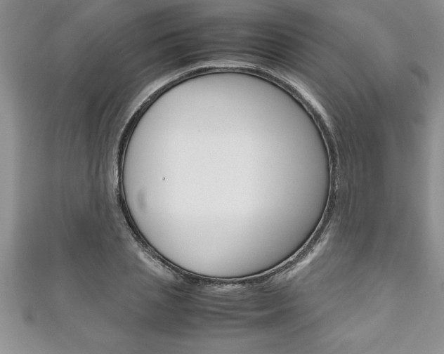 X0000111190837200907011007