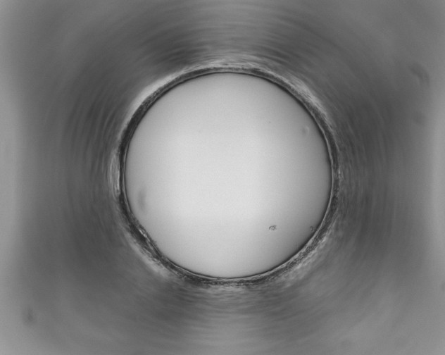 X0000111190838200907011007