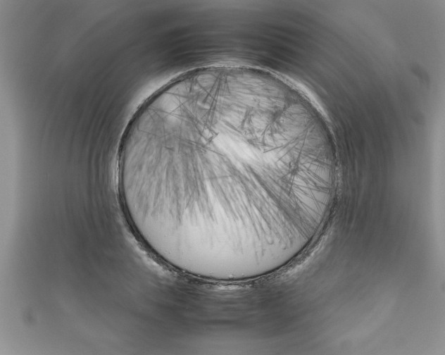 X0000111190839200907011007