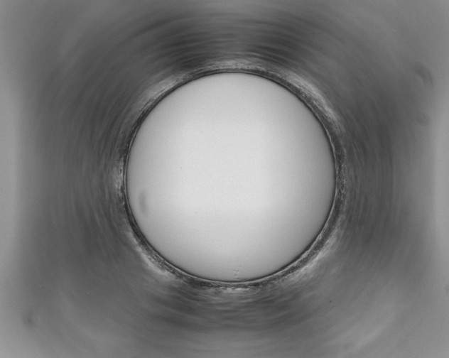 X0000111190841200907011007