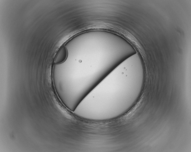 X0000111190842200907011007
