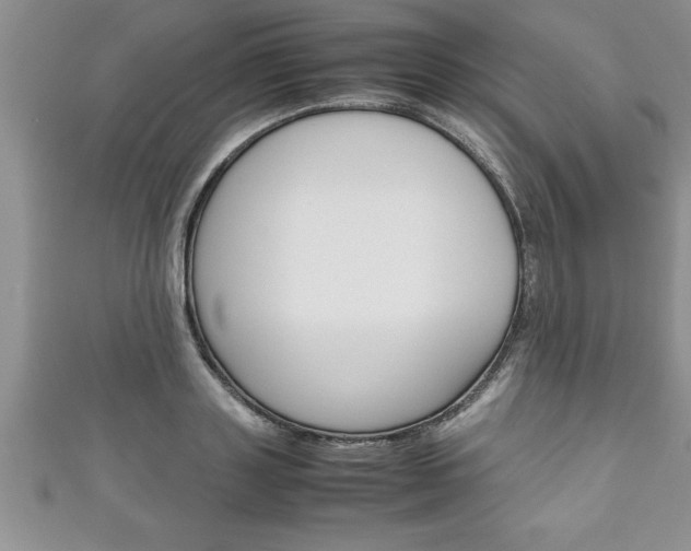 X0000111190843200907011007