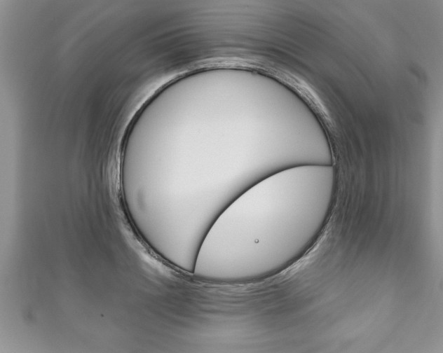 X0000111190844200907011007